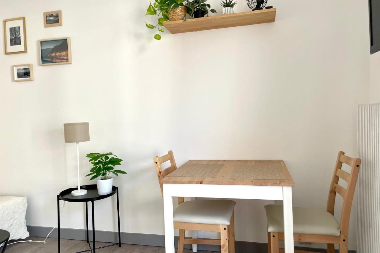 #Dd L'Ecrin Studio Ile Verte Balcony Grenoble Exteriör bild